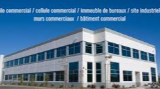 Murs commerciaux libres