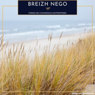 Murs commerciaux loués