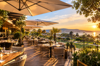 Bar Restaurant